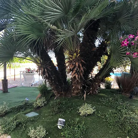 Majestic Ξενοδοχείο 4*