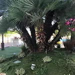 Majestic Hotell 4*